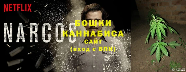 ГАЛЛЮЦИНОГЕННЫЕ ГРИБЫ Беломорск