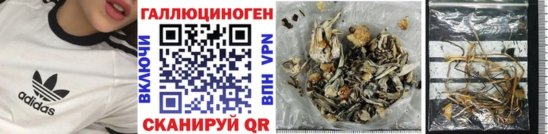 как найти закладки  Вуктыл  Галлюциногенные грибы GOLDEN TEACHER 